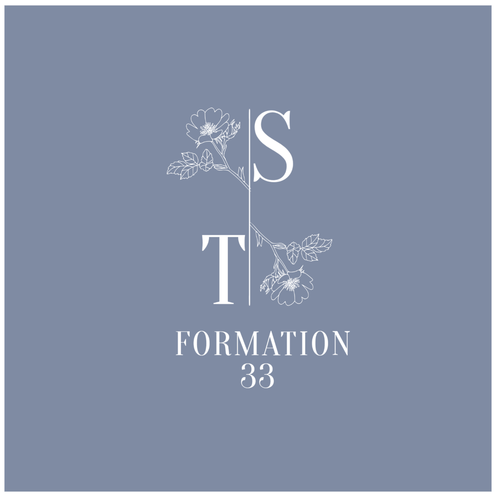ST Formation 33